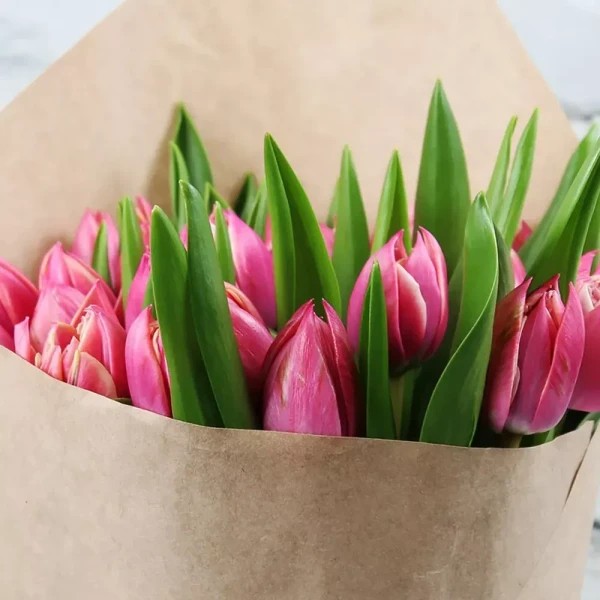 21 розовых тюльпан, изображение 2